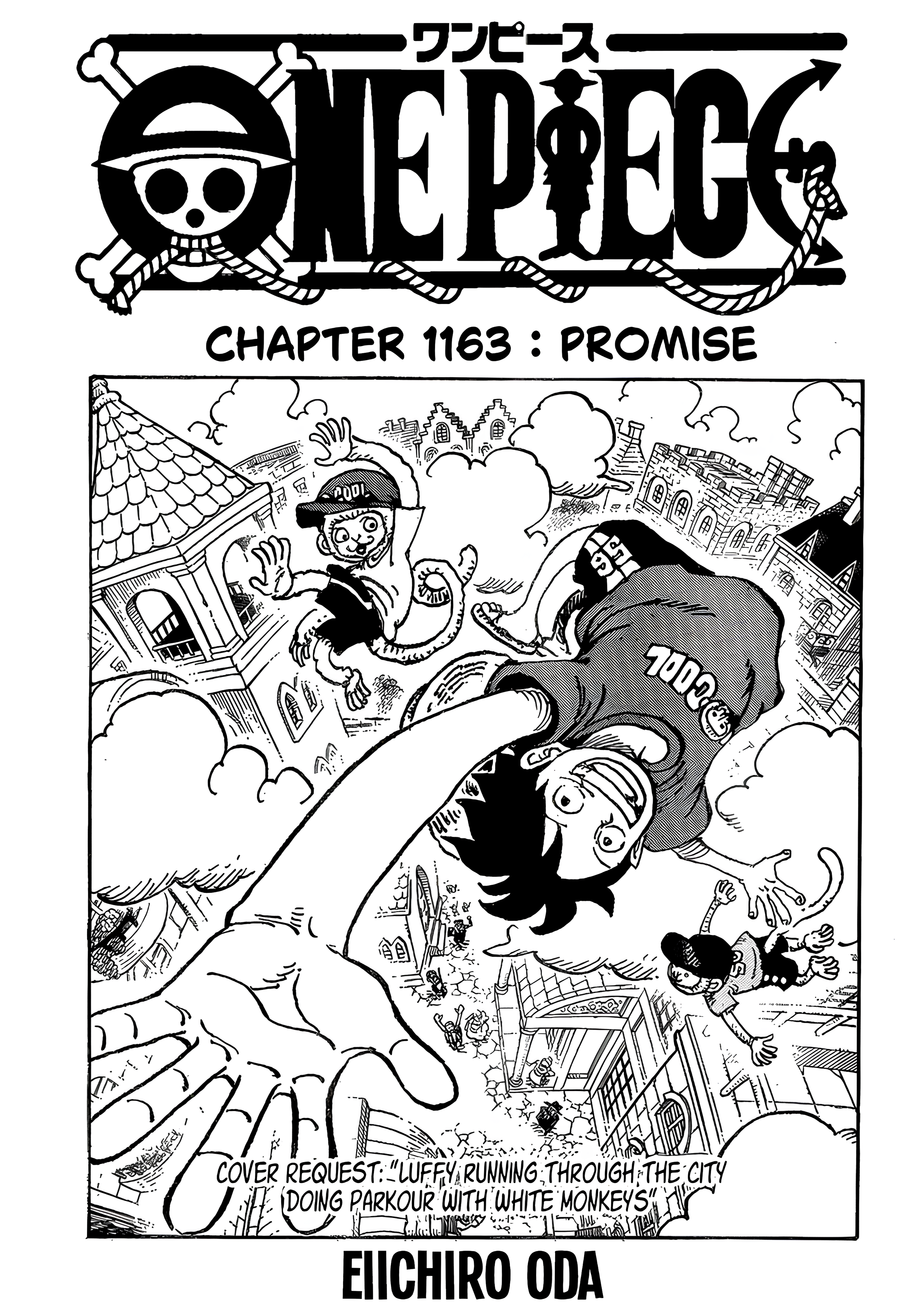 One Piece Chapter 1163 Cover