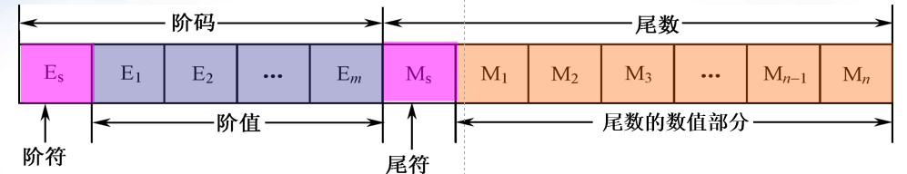 浮点数的格式