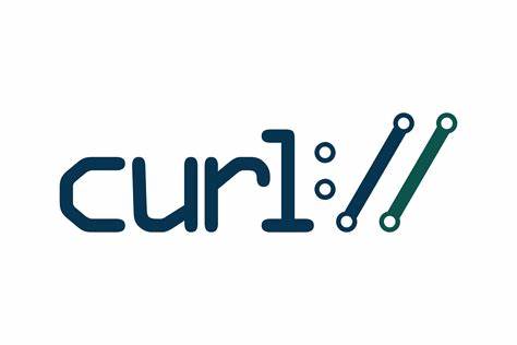 curl缓冲区溢出