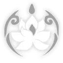 澤芝