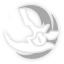 哀悼，死海之漣漪