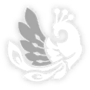 屏開千光，遍觀自在