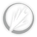 穿徹堅冰的烈芒