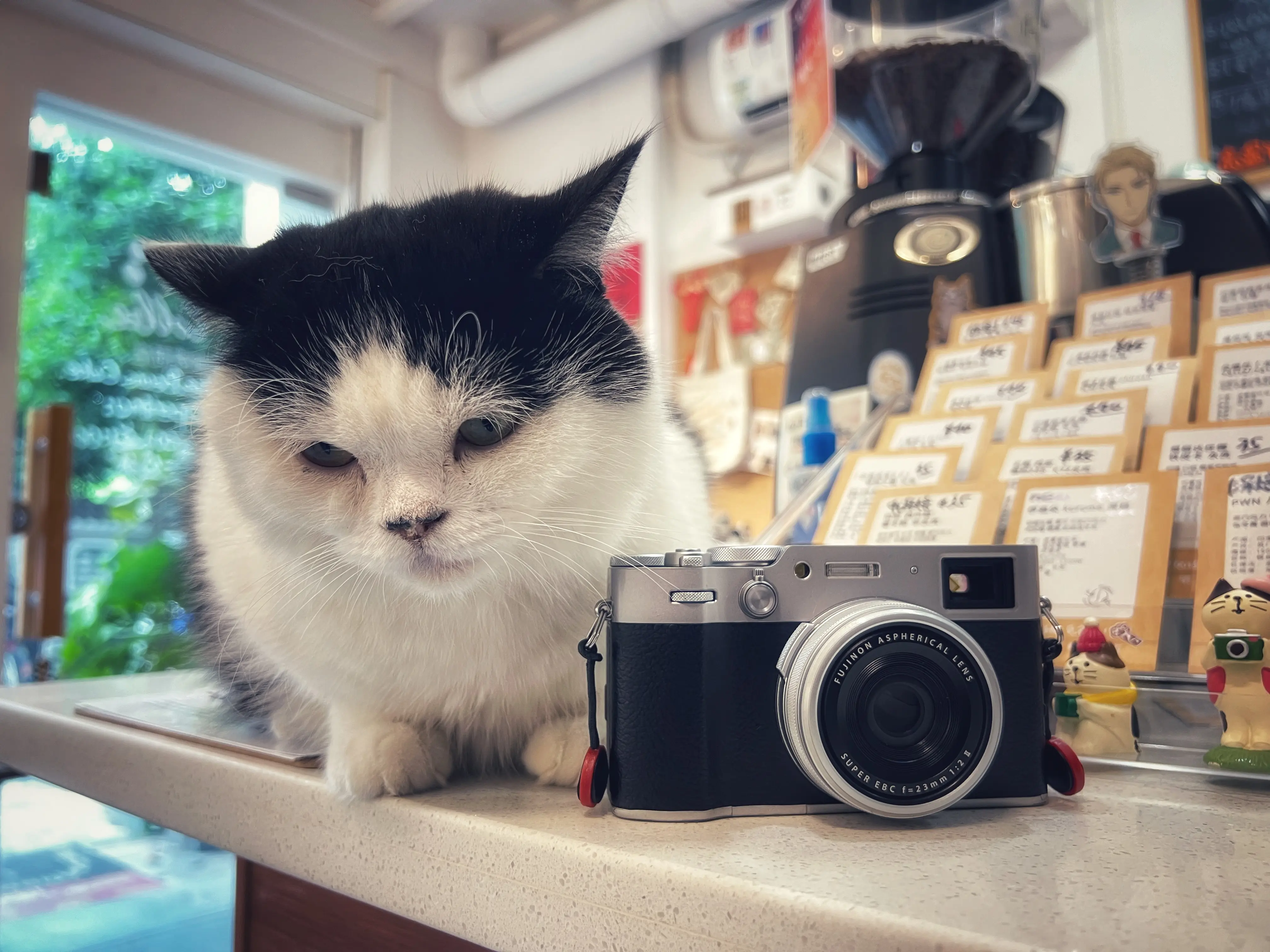 你的內在，是不是同網友們講的一樣 稱得上“世一”呢？ | Fujifilm X100VI相機 簡單使用體驗