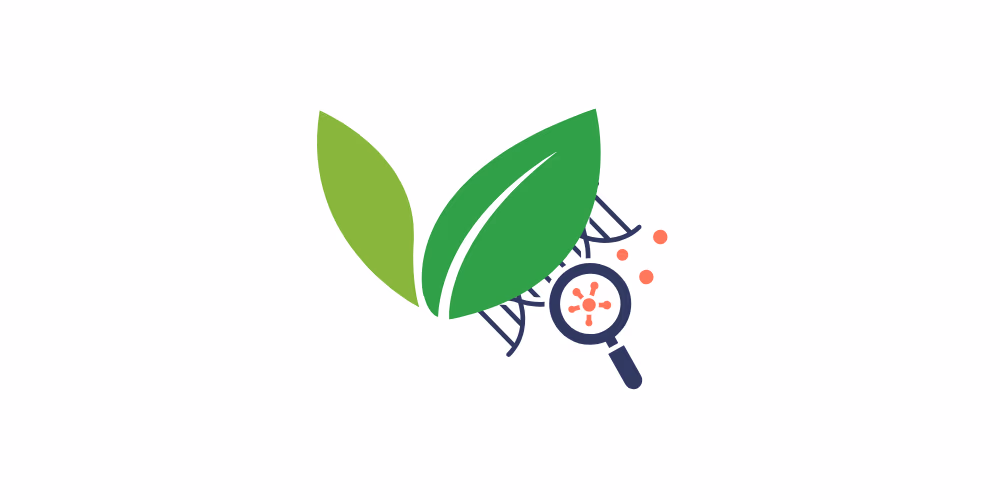 Mengenal biosentris SEO