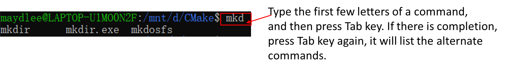 image-20250427225604450