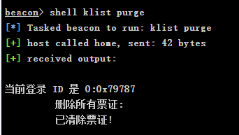image-20250129130832955