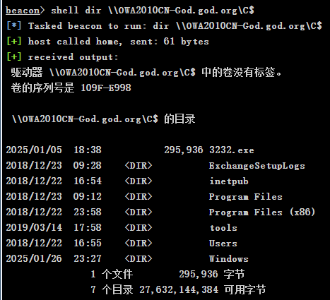 image-20250129131748091