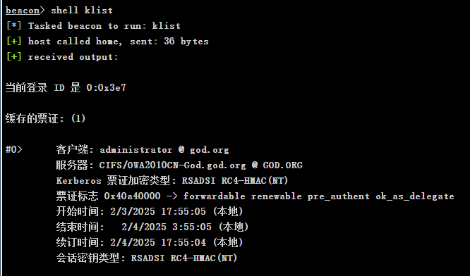 image-20250203180300374