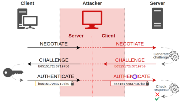 image-20250218154937892