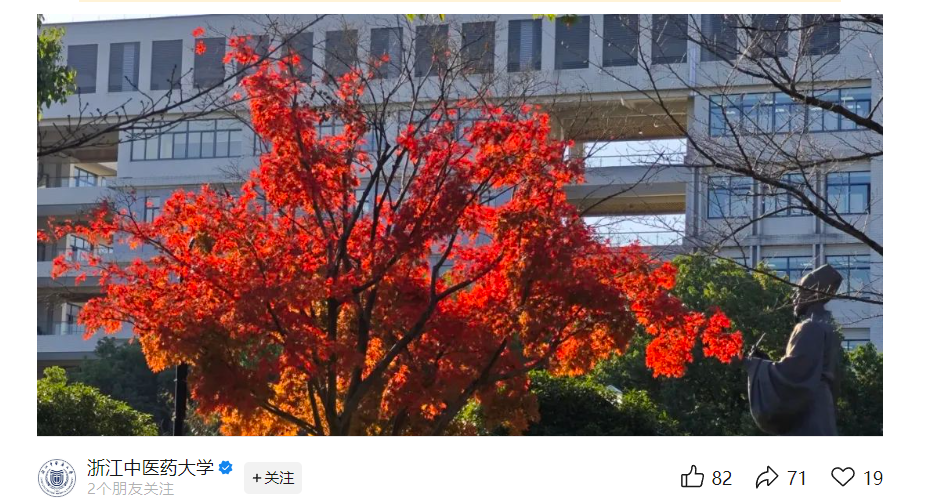 image-20250425224617748
