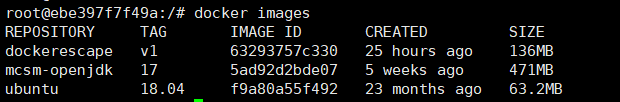 image-20250508131628765