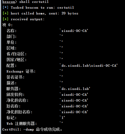 image-20250517160225638