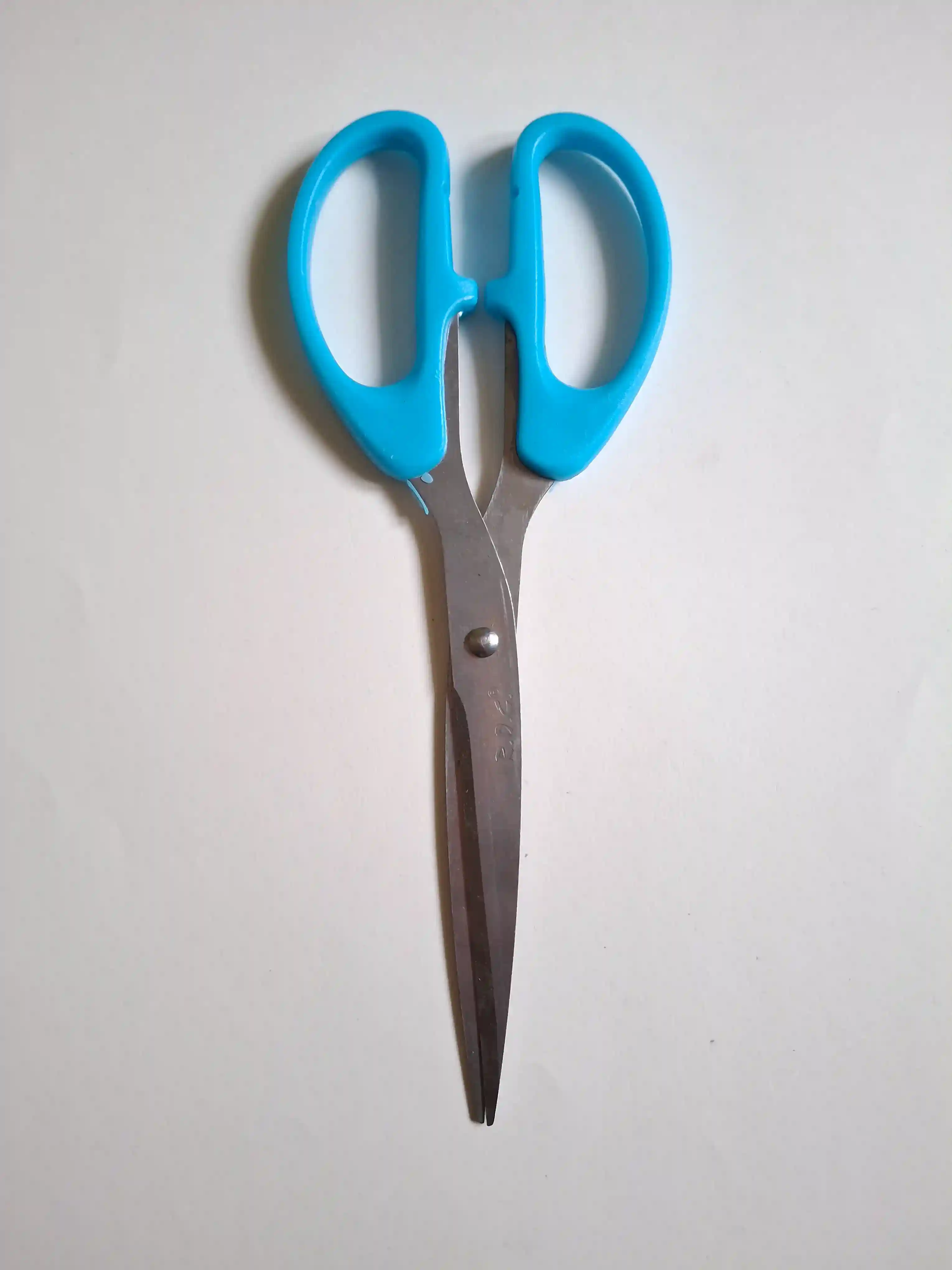 Scissors (large) - Main Image