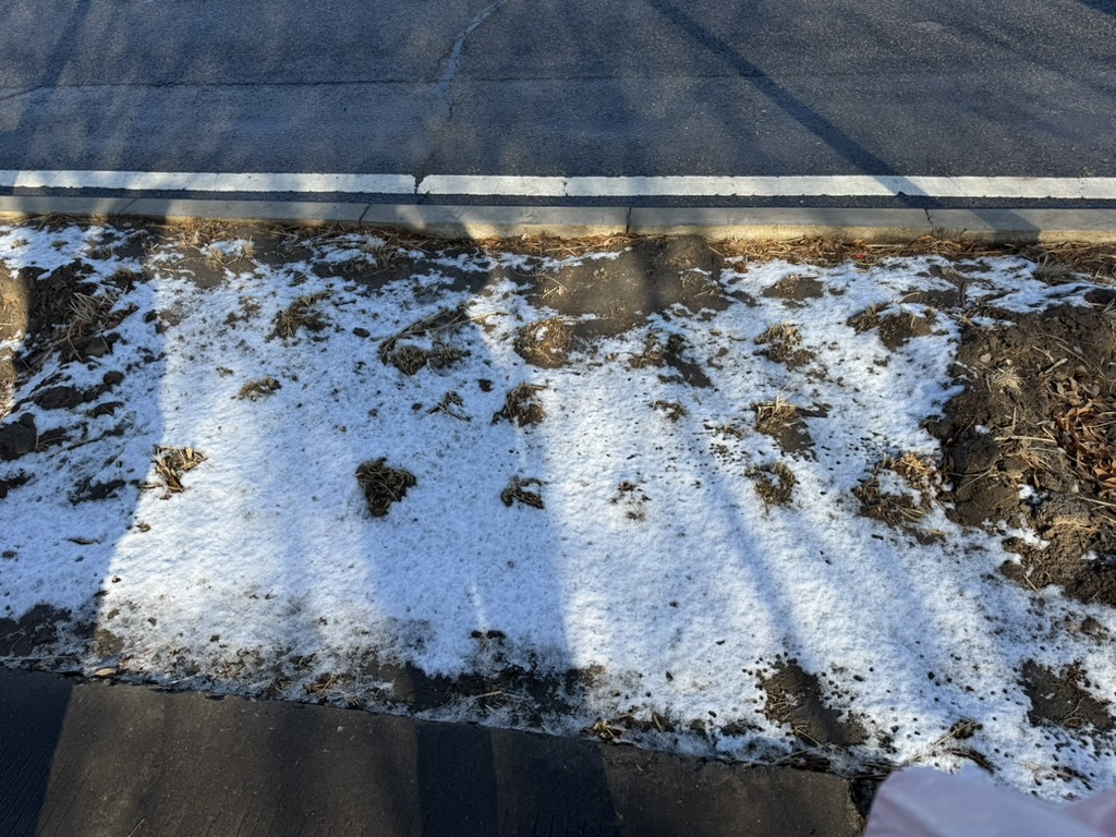 还剩下一点点雪的痕迹