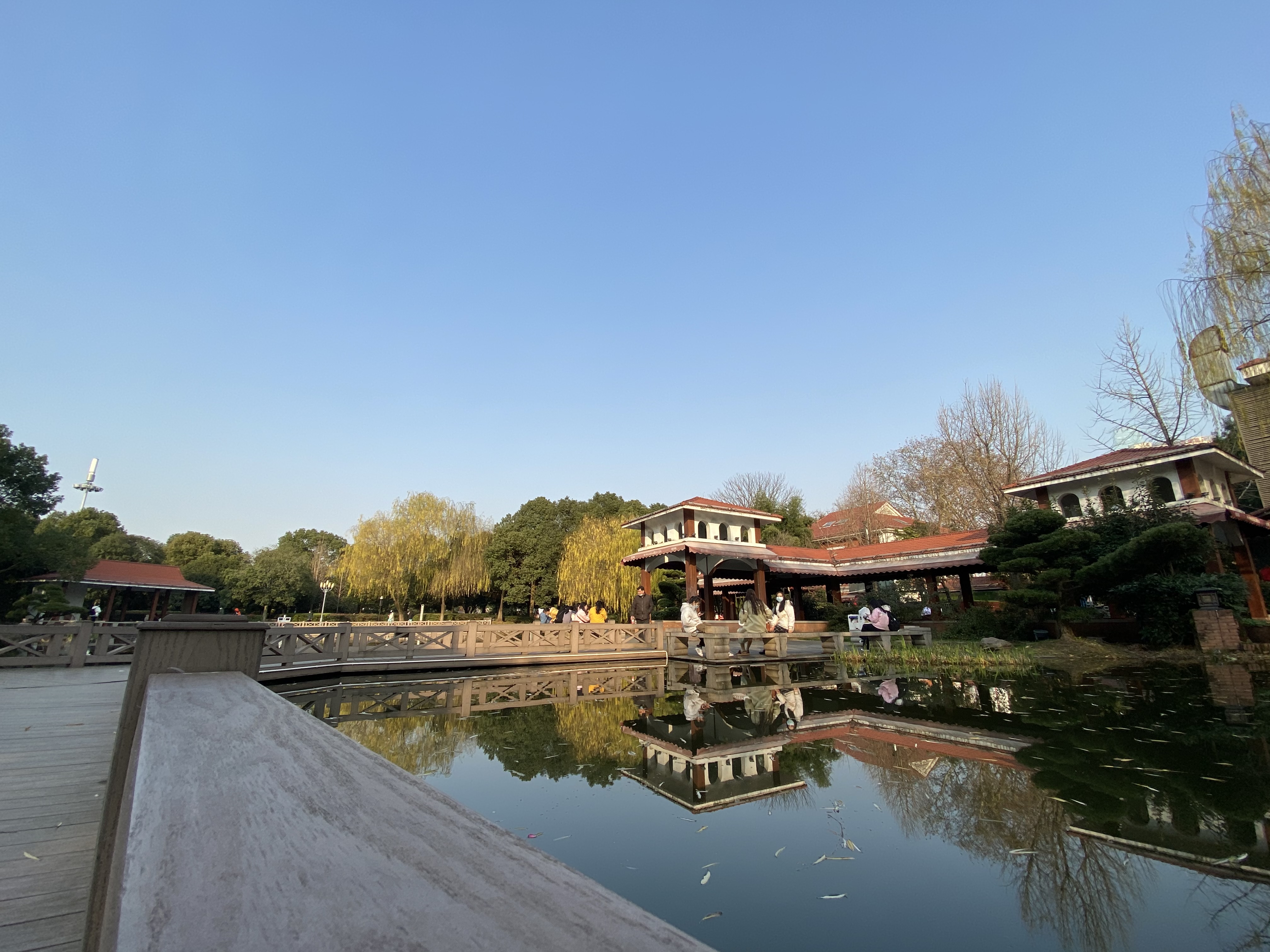 Featured image of post 被催更的寒假作业--长沙小复盘