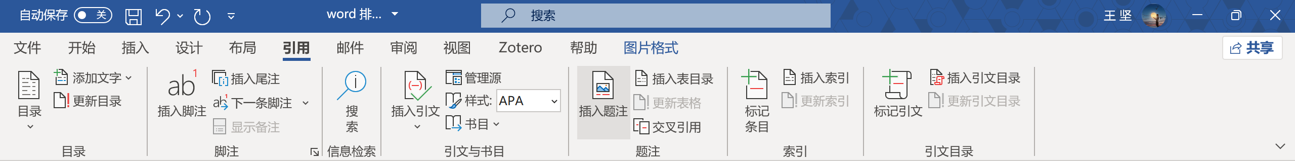 image-20241221194134086