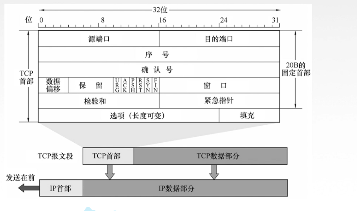 image-20241228145428056