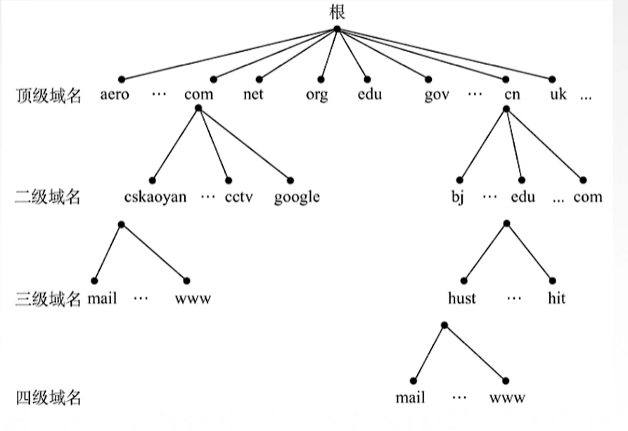 image-20241229215018609