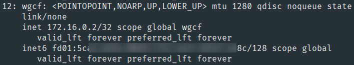 名为wgcf的网络接口