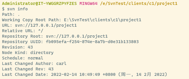 image-20220214115338907