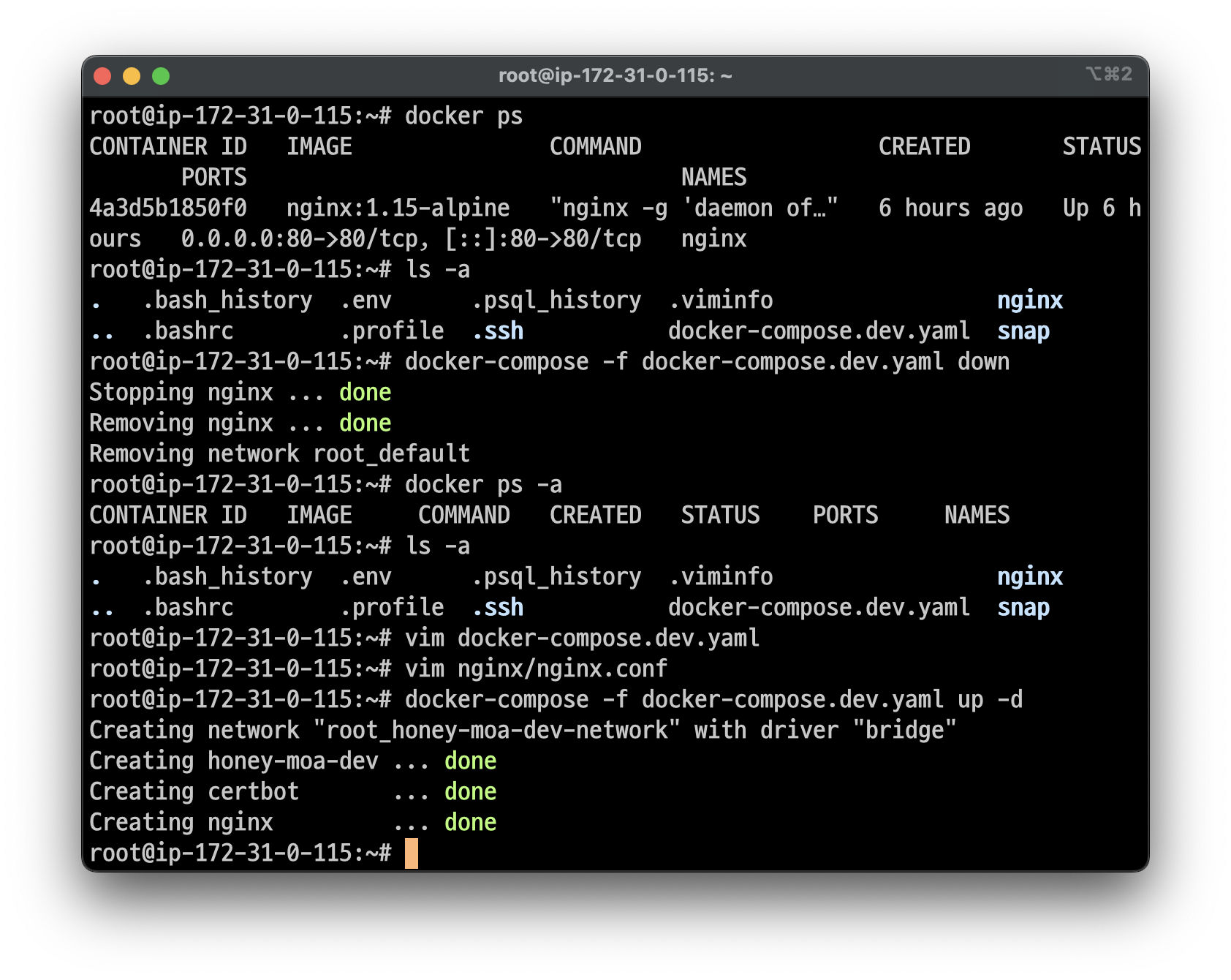 docker-compose 실행
