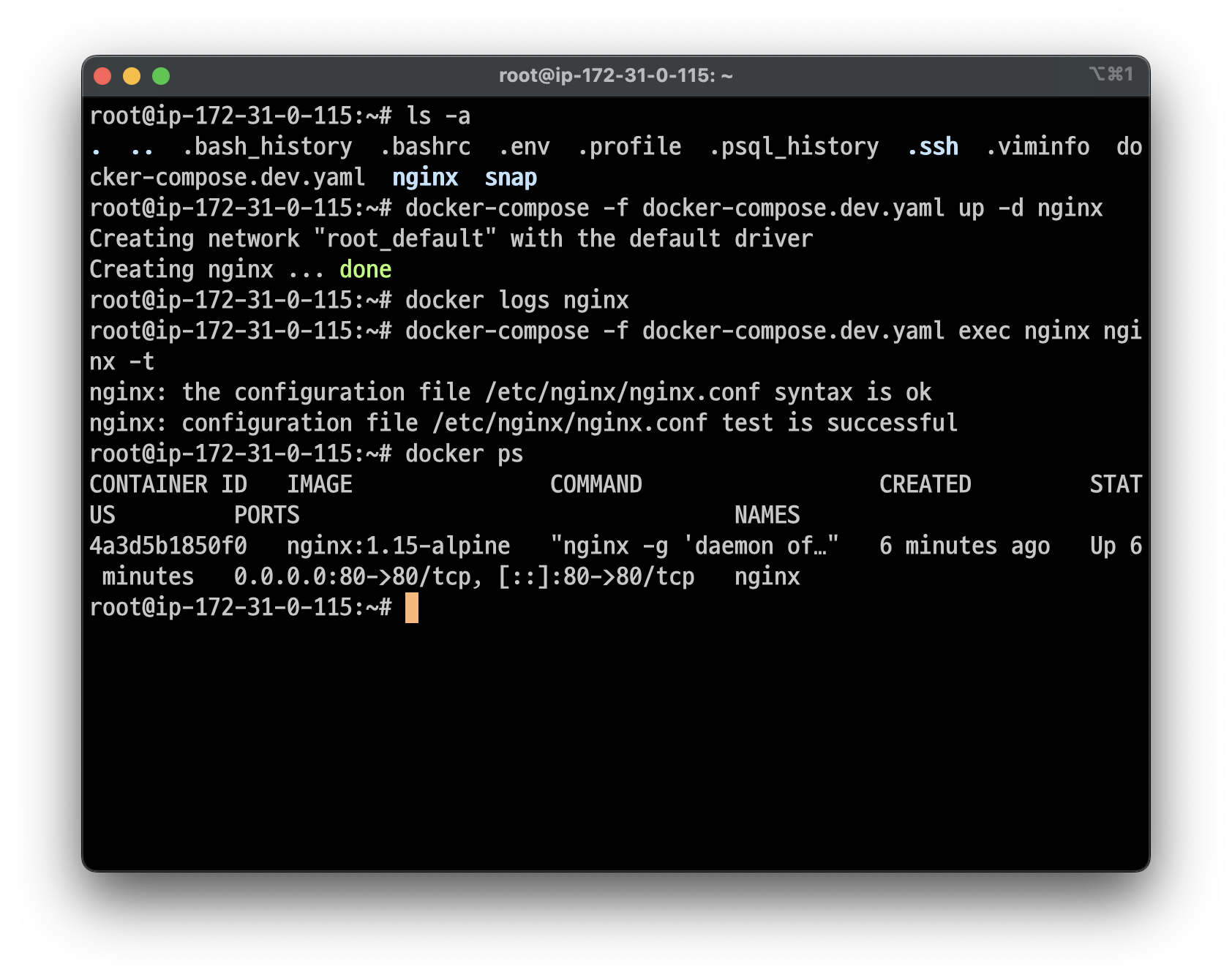 nginx 실행 확인