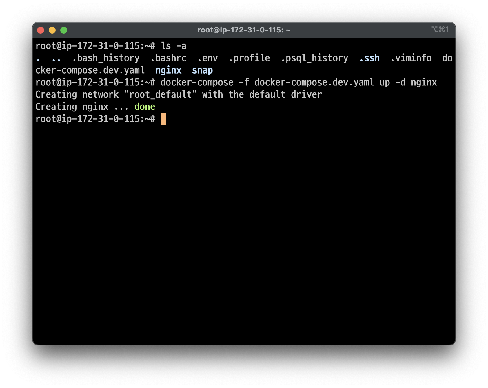 nginx 실행