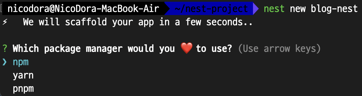 nest new 명령어로 프로젝트 생성