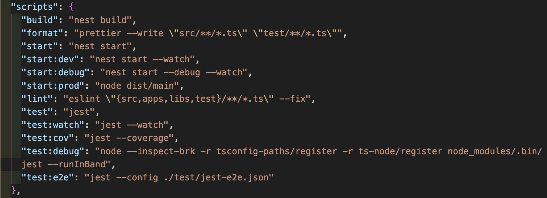 package.json 파일