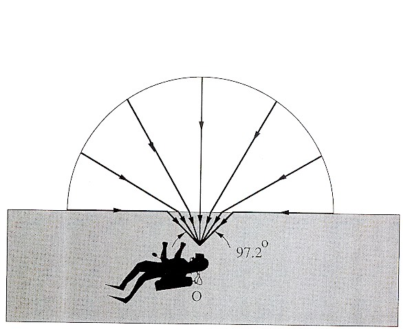 image-20211223111633375