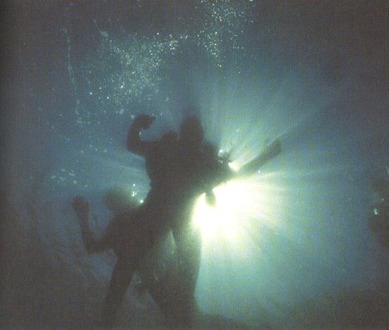 image-20211223111641582