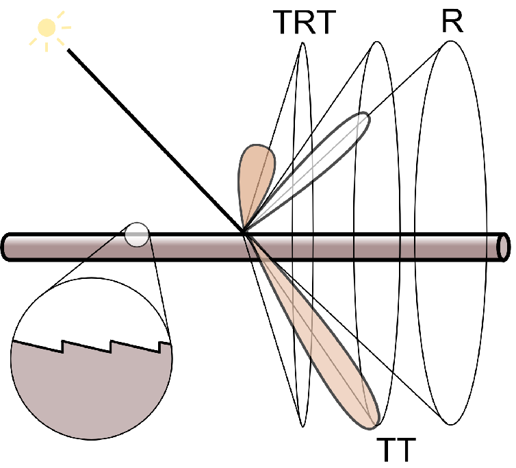 image-20211225115036874