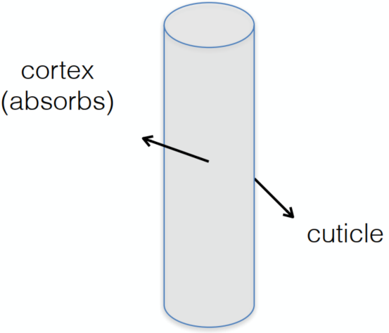 image-20211225161647989