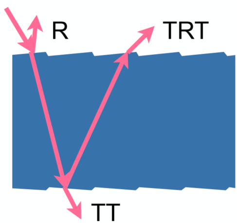 image-20211225161805983