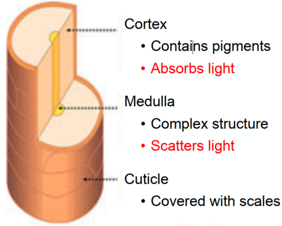 image-20211225162152287