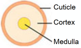 image-20211225162211761